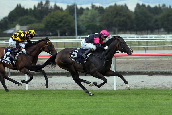 Patterson’s in-form stable set to star again