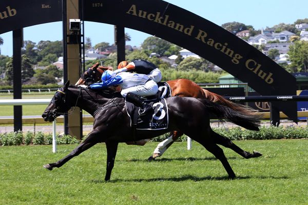 Last-gasp Guineas win for Dark Destroyer