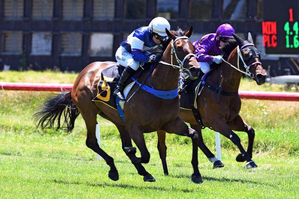 Barrier setback for Latta’s Champagne pair