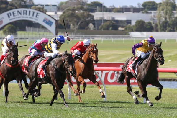 Browne stampede set to hit Aussie