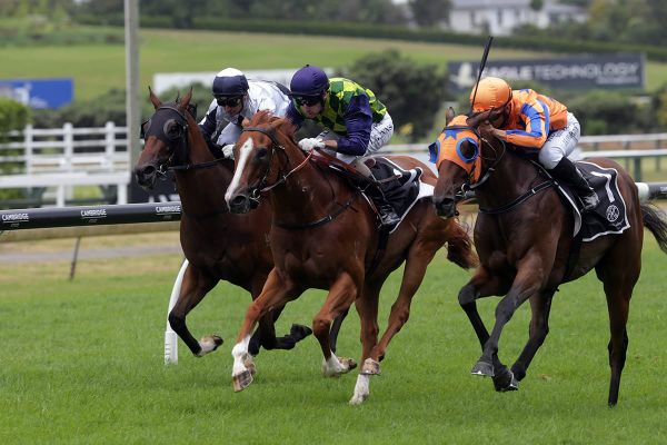 Fellini enhances Karaka Million claim