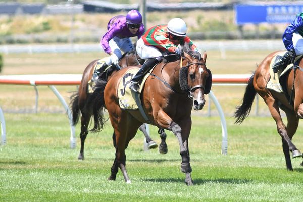 Cup targets on Hinepara’s program