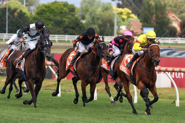 Ho Ho Khan extends travels to Caulfield