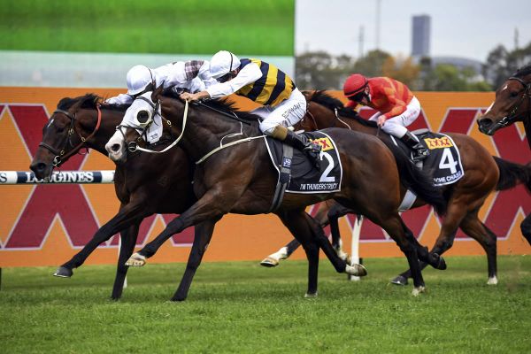 I’m Thunderstruck thriving ahead of autumn targets