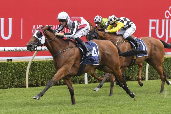 Kirwan’s Lane relishes quick backup