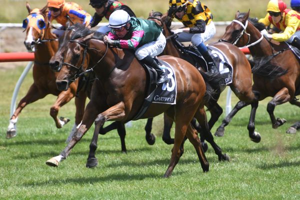 Classy filly transfers to Moroney’s Flemington barn