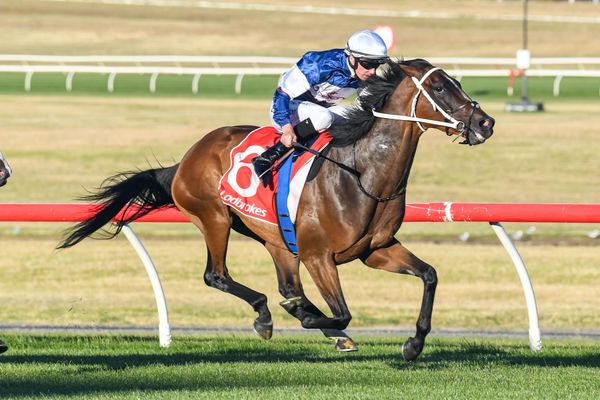 Go Racing keen to expand further into Australia