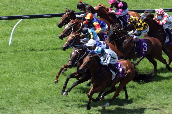 Patience pays winning dividend for Mach Schnell