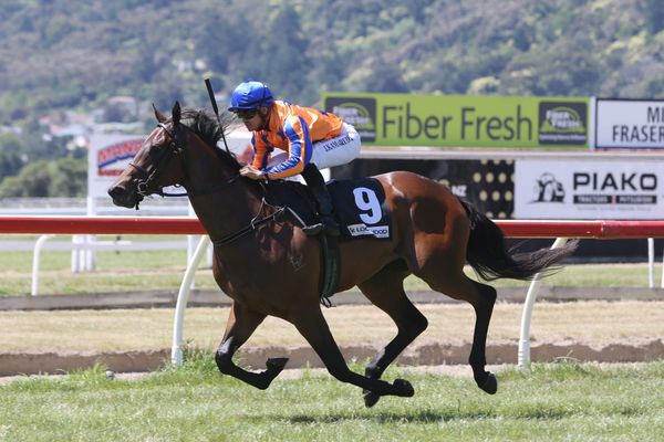 Maven Belle impressive on debut at Te Aroha