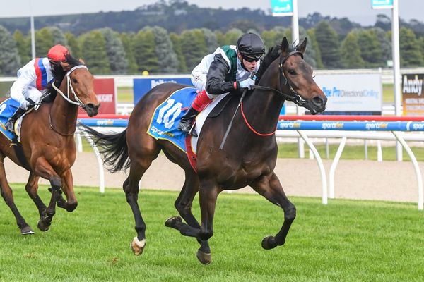 All-Star Mile shot starts at Flemington