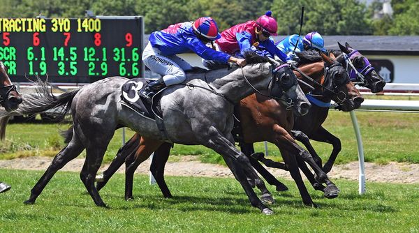 Nest Egg on Derby path for Bergerson