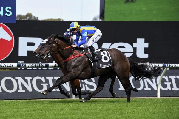 Queensland sojourn works oracle for So You Win