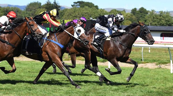 Sharrock on Auckland Cup Path with Our Hail Mary