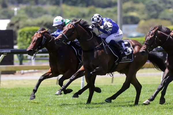 Champagne clash with Fireburn beckons for Wolverine