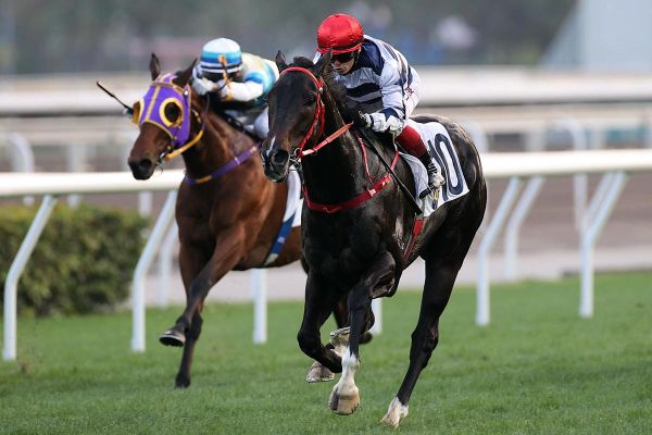 Packing Victory impressive at Sha Tin