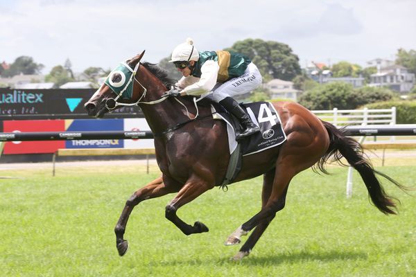 Family horse gives Cumming maiden training success