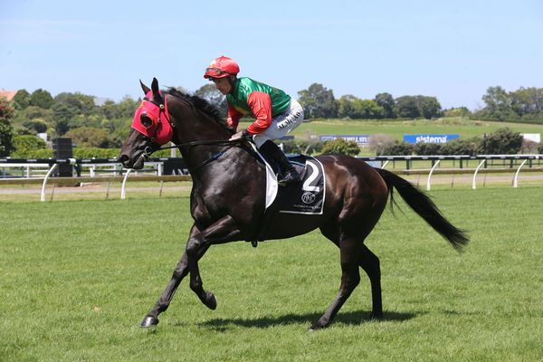 Home and away Group options for talented Pareanui Bay