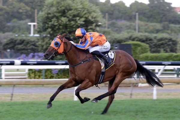 Richards collects another Karaka Million feature
