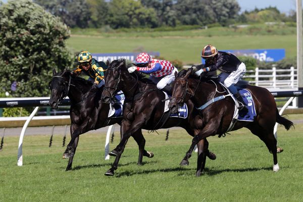 Weatherley hoping his luck holds at Trentham