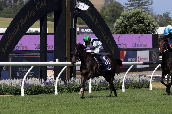 Rapid Falls gets deserved reward in Karaka Cup