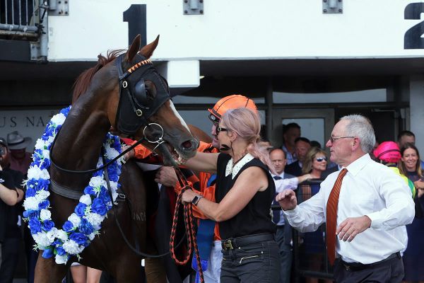 Royal Performer gearing up for Herbie Dyke defence