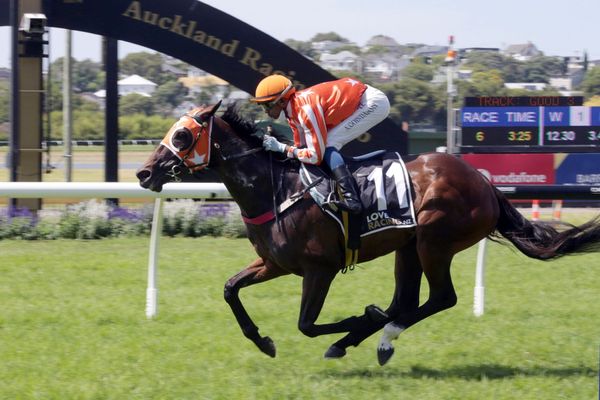 Saint Alice provides welcome boost for Williams stable