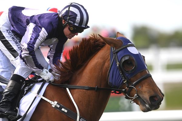 Rae launching southern Cup bid