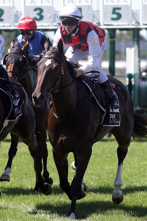 Saturday to influence stablemates’ futures