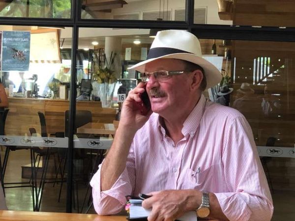 Auckland & Waikato Karaka 2022 Yearling Inspection Tour