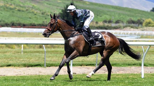 Allpress doubles up at Awapuni