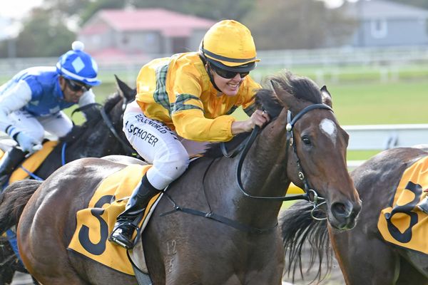 Schofer excited for Tavi Mac opportunity