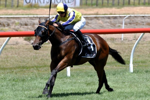 Wexford juvenile times Karaka Million run to perfection