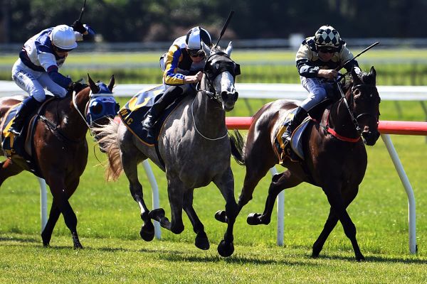 Derby contenders ready to make noise at Ellerslie