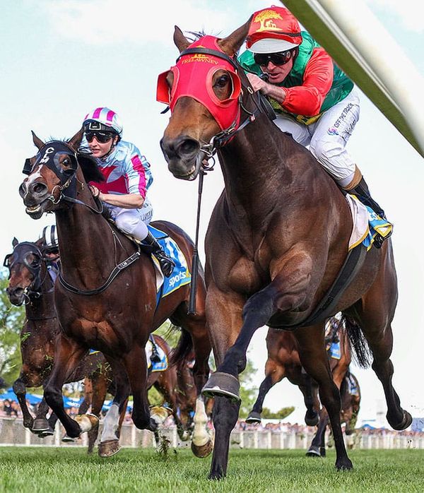 Zayydani top weight in Easter Cup