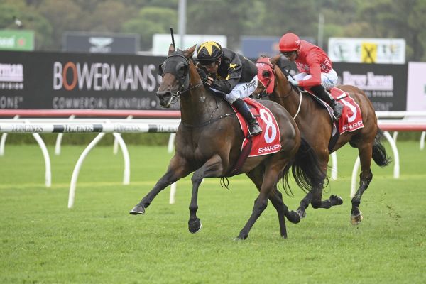 Smart mare scores fresh in Sydney