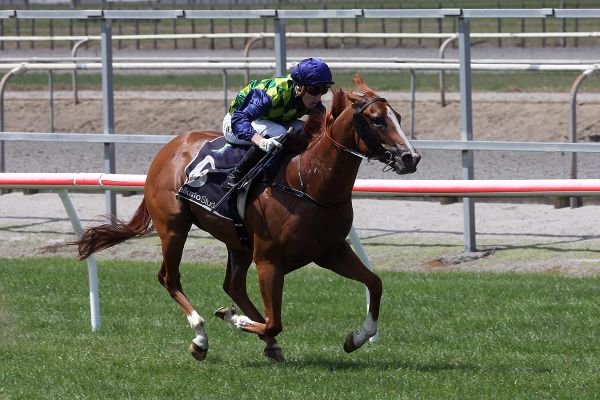 Alabama Gold too speedy in Matamata feature