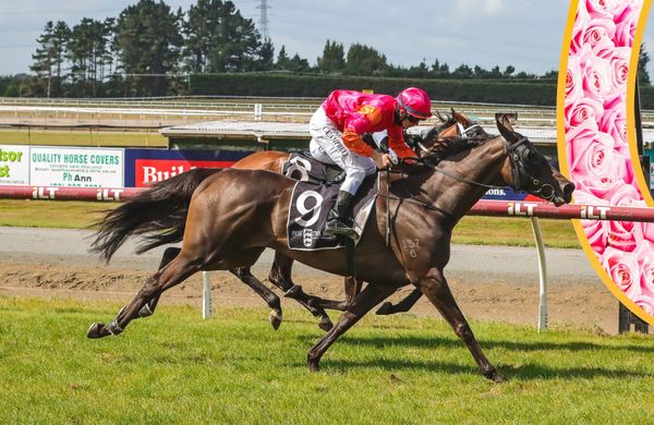 Asathought tastes Ascot gold