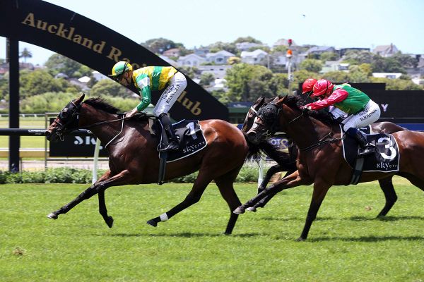 Weighty Cup bid best option for Group One mare