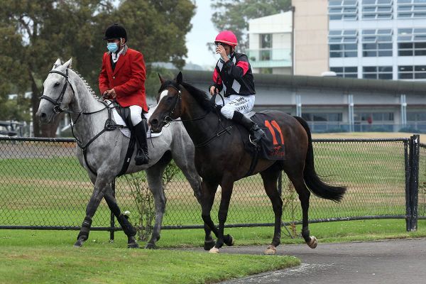 Patterson relishes Group One victory