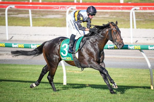 Shock result expected on Wednesday