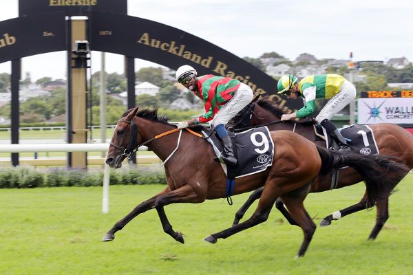 Hinepara ruled out of Auckland Cup