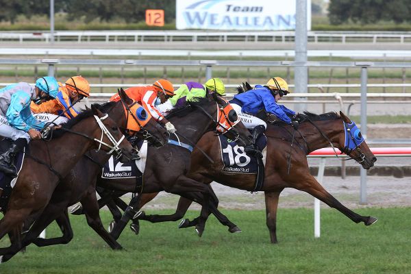 Langkawi upsets in Kaimai Stakes at Matamata