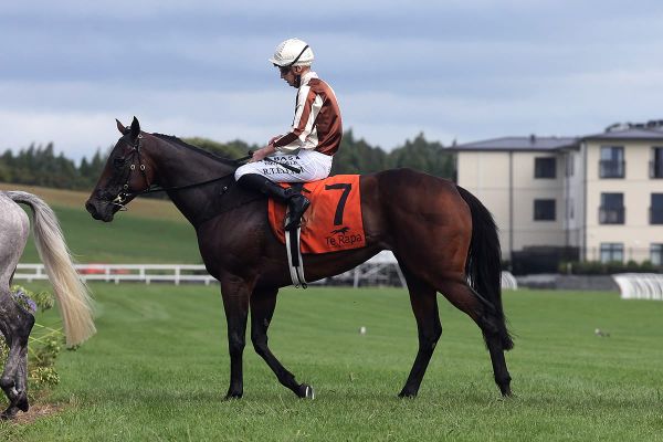 Future plans still to be decided for Levante