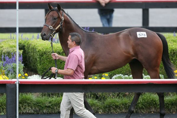 Karaka 2022 to be Broadcast Live