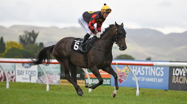 A Love Letter to Hastings