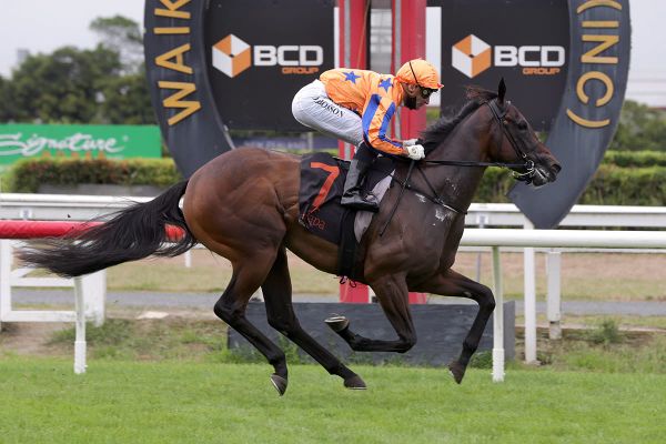 Homebred filly the Belle of the ball