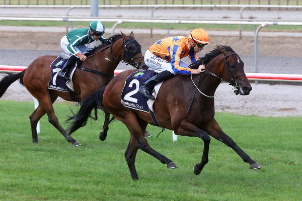 Maven Belle remains unbeaten after stylish Breeders’ Stakes victory