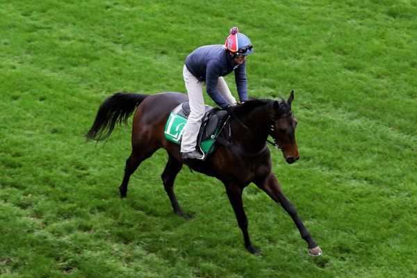 Improved Mr Brightside heads to Blamey            