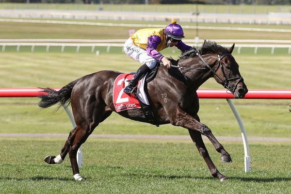 Week could get even better for Browne stable