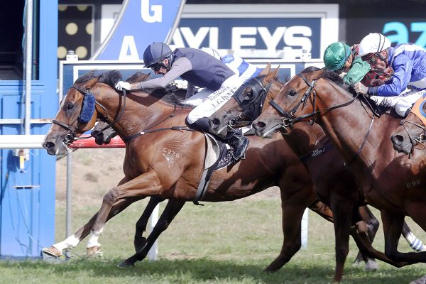 Spotlight on Rockstar in Group One mile